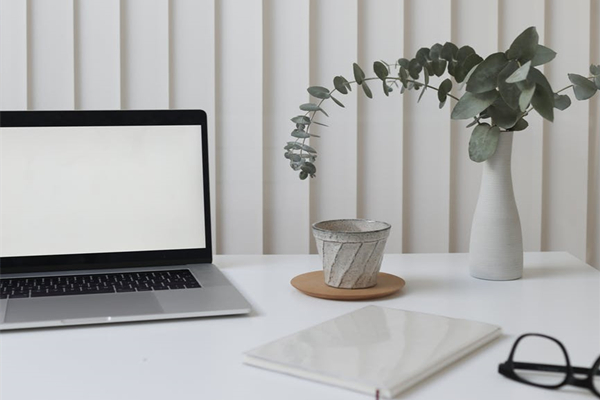 拼多多极速发货多少钱?怎么经营拼多多?-淘商院