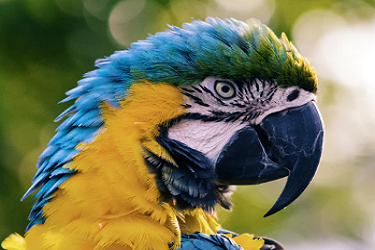 拼多多店铺优惠券在哪里设置?有哪些规则?-淘商院