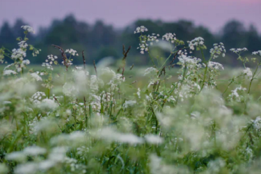 拼多多只有省钱月卡吗?省钱月卡值得买吗?-淘商院