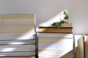 双12拼多多冬热卖-全类目搜索推荐专区报名-淘商院