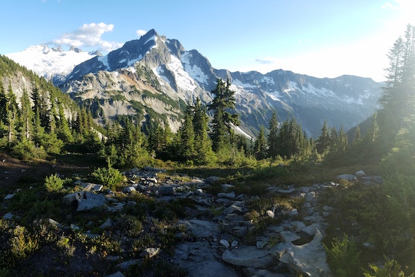 拼多多的药品便宜的原因是什么?安全吗?-淘商院