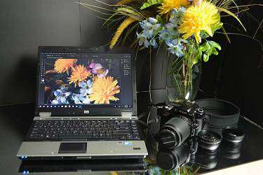 拼多多月卡券可以用百亿补贴吗?月卡券怎么用?-淘商院