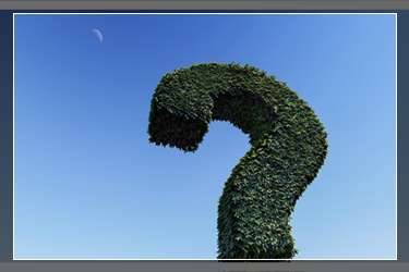 拼多多推广费太高怎么处理?拼多多要一直烧钱推广吗?-淘商院