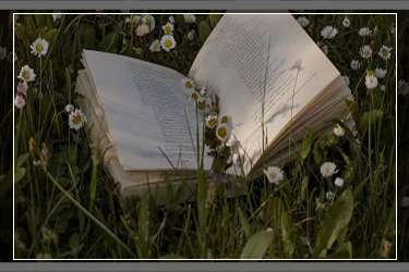 天猫店铺敢卖假货吗?怎么看天猫旗舰店真假?-淘商院