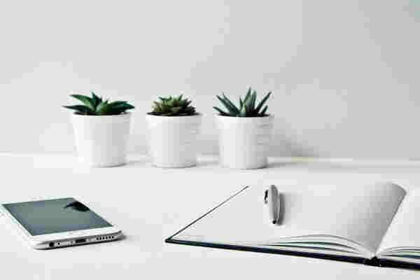 四月份拼多多有什么促销活动?拼多多活动在哪看?-淘商院