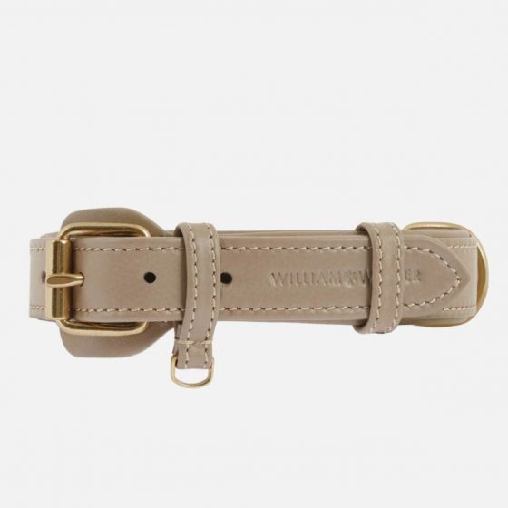 Collier de chien Earth005-淘商院