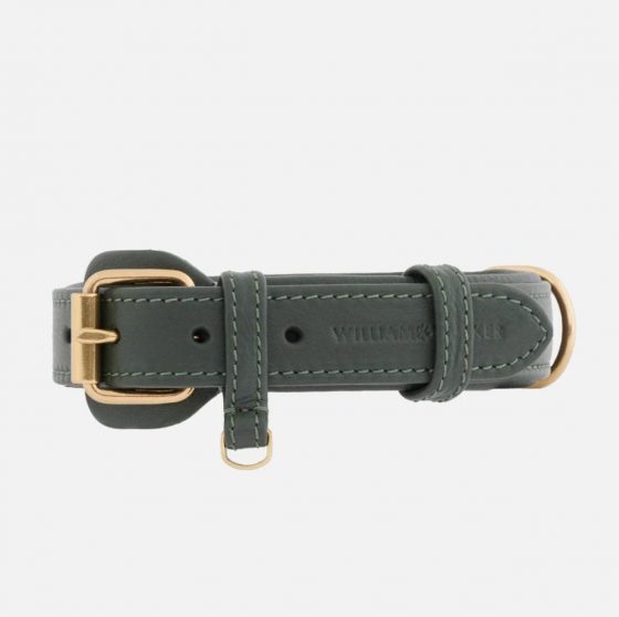 Collier de chien Earth101-淘商院