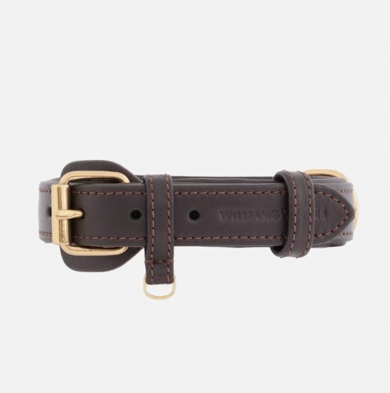 Collier de chien Earth002-淘商院